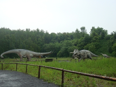 波兰恐龙展览项目