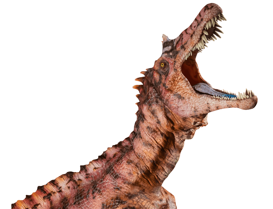Cetdino Animatronic Dinosaur